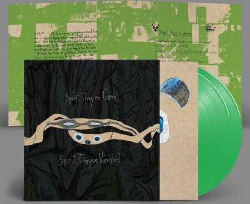 Animal Collective Spirit They're Gone, Spirit They've Vanished LP/Vinyl
