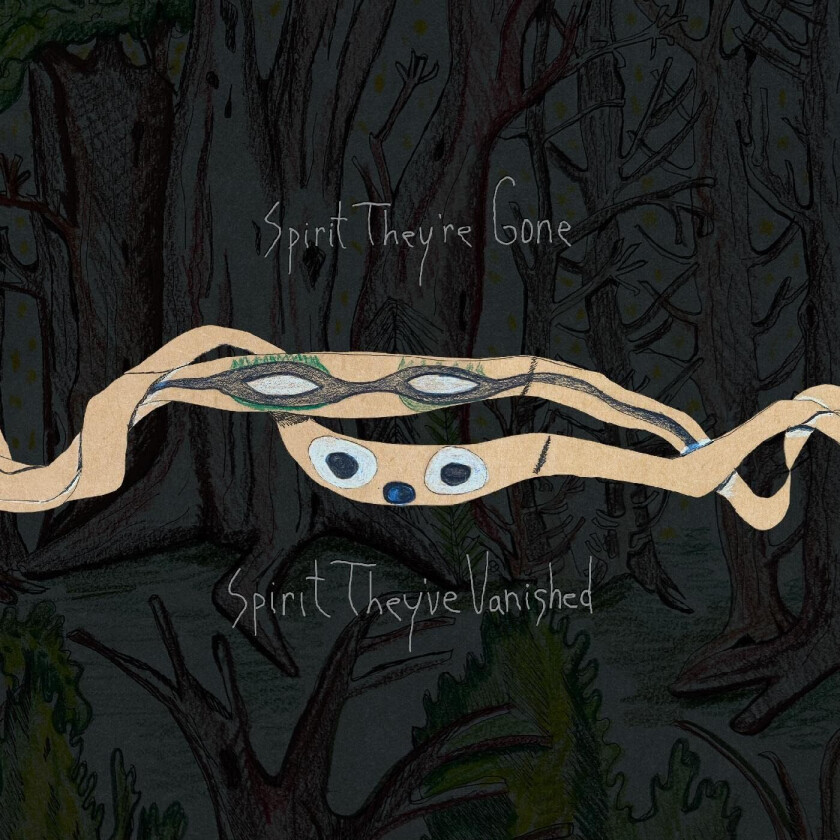 Animal Collective Spirit They're Gone, Spirit They've Vanished LP/Vinyl