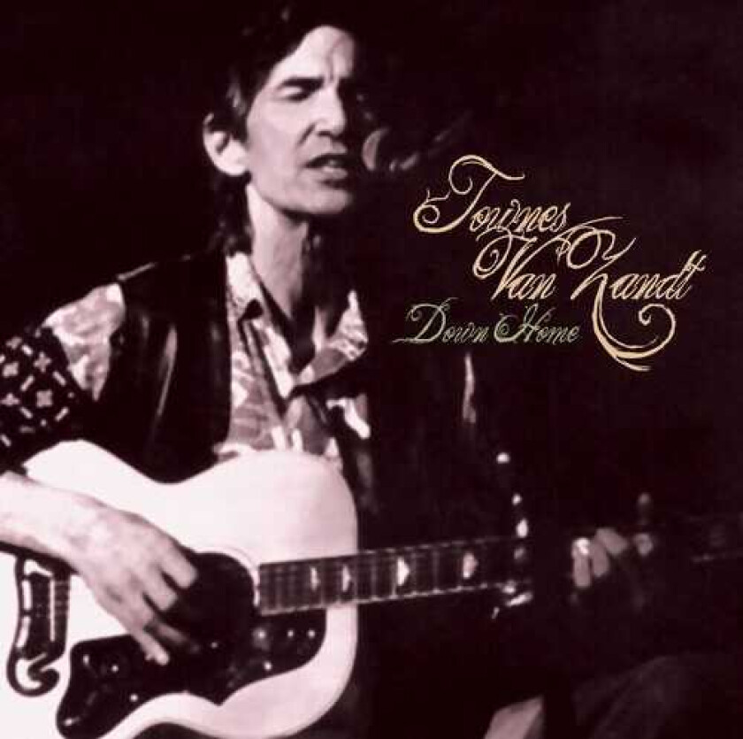 Townes Van Zandt Down Home 1985 LP/Vinyl