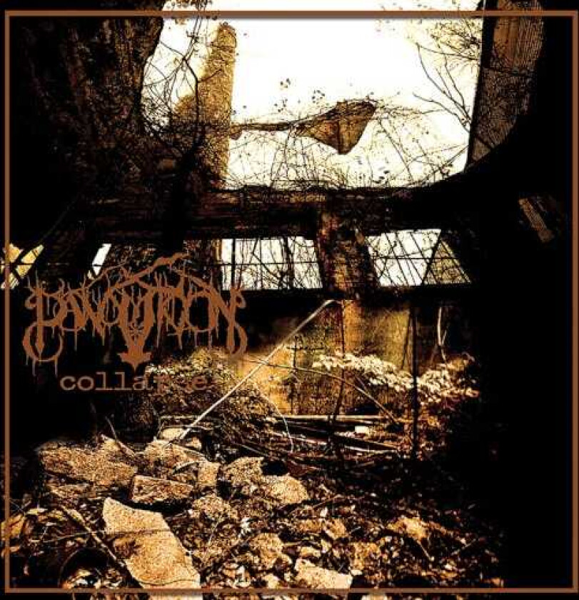 Panopticon Collapse LP/Vinyl