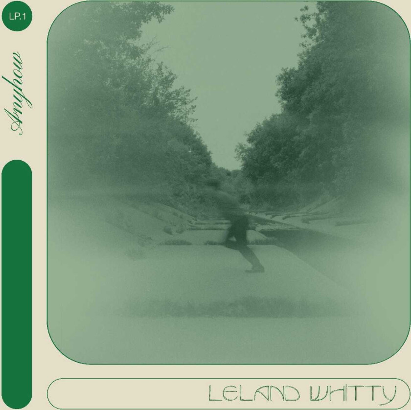 Leland Whitty Anyhow CD