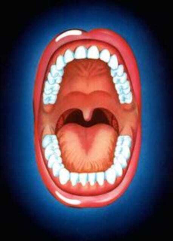 L.U.C.A. Venus: Un Breve Viaggio Tra Le Stelle LP/Vinyl