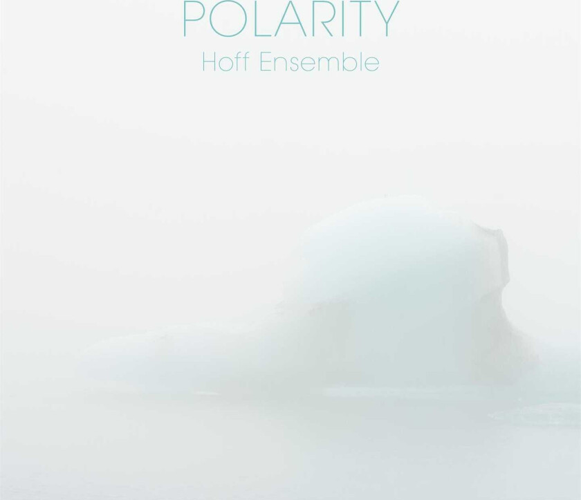 Hoff Ensemble Polarity LP/Vinyl