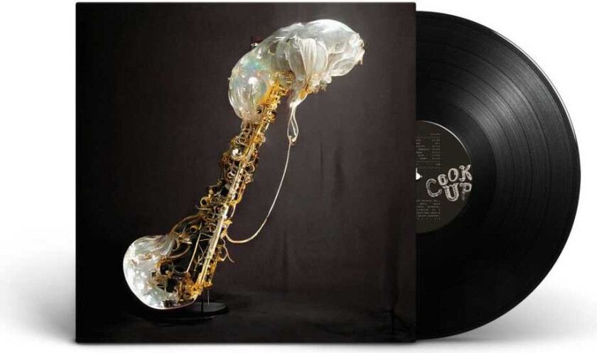 Sam Gendel Cookup LP/Vinyl