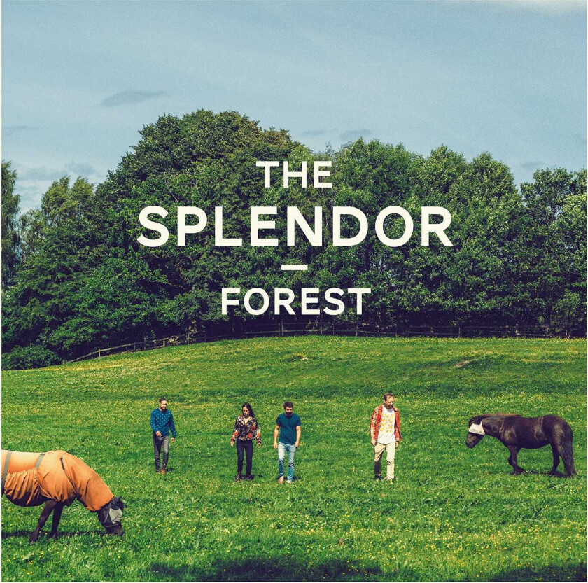 The Splendor Forest LP/Vinyl