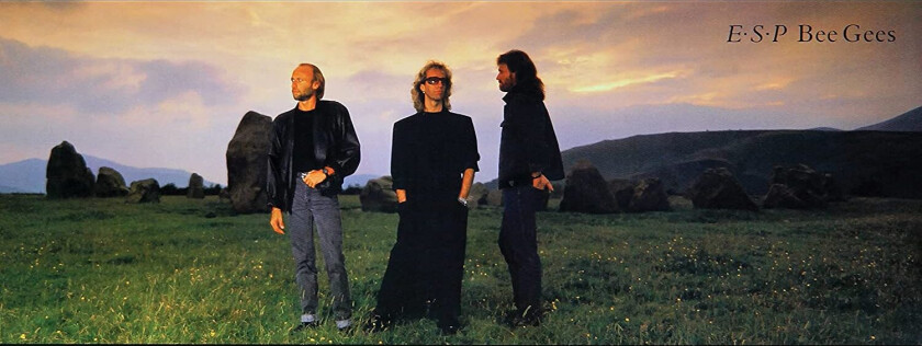Bee Gees E.S.P. (ShmCD) CD