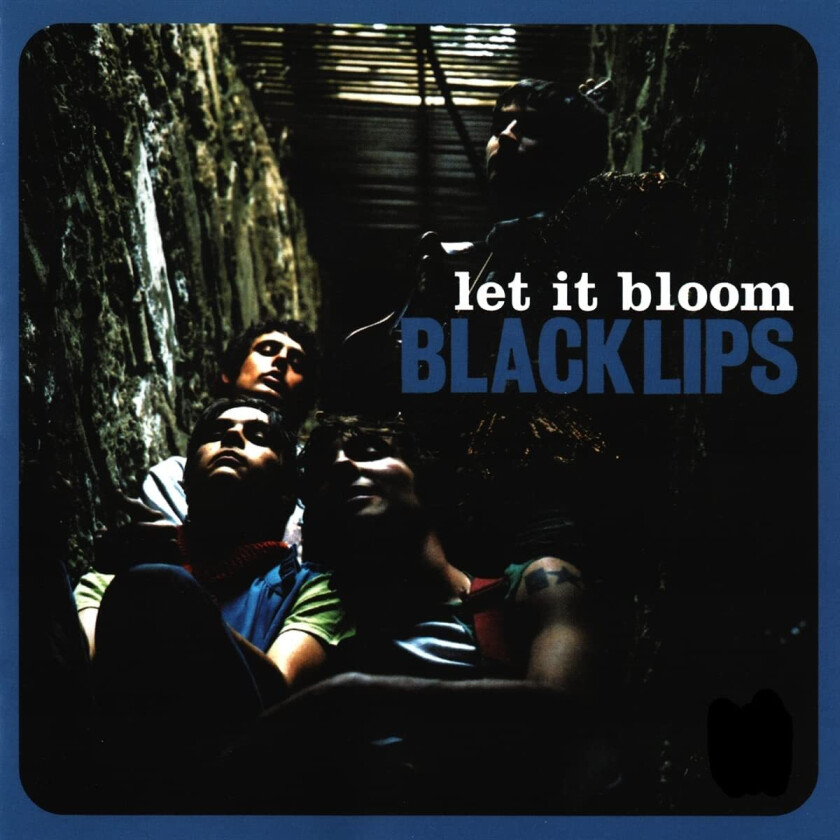 Black Lips Let It Bloom LP/Vinyl