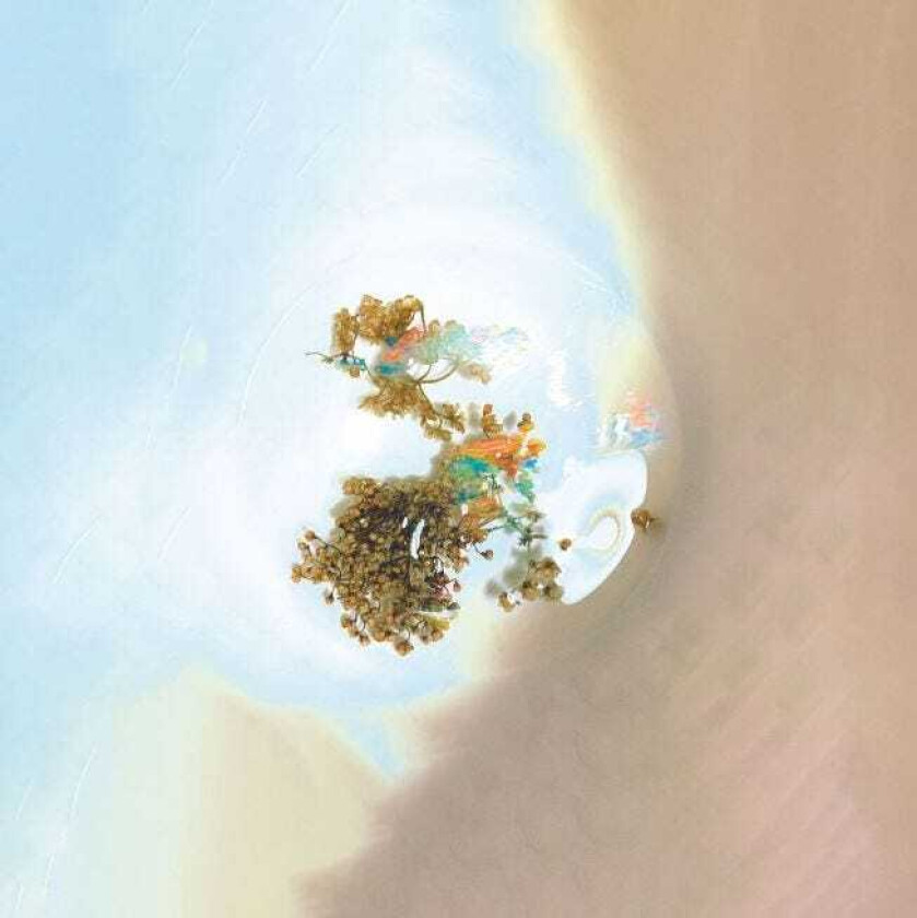 Sam Goku The Things We See When We Look Closer LP/Vinyl