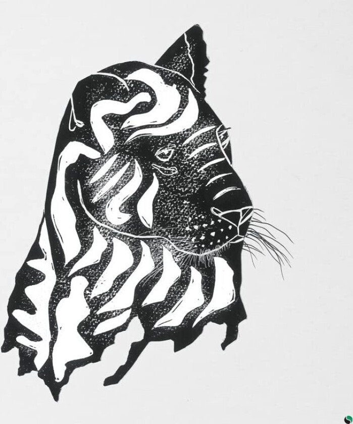 Alpha Steppa & Awa Fall, Alpha Steppa, Awa Fall What A Joy LP/Vinyl