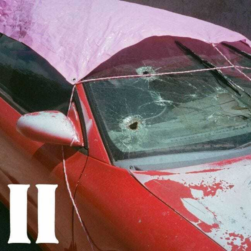 Pure Adult II LP/Vinyl