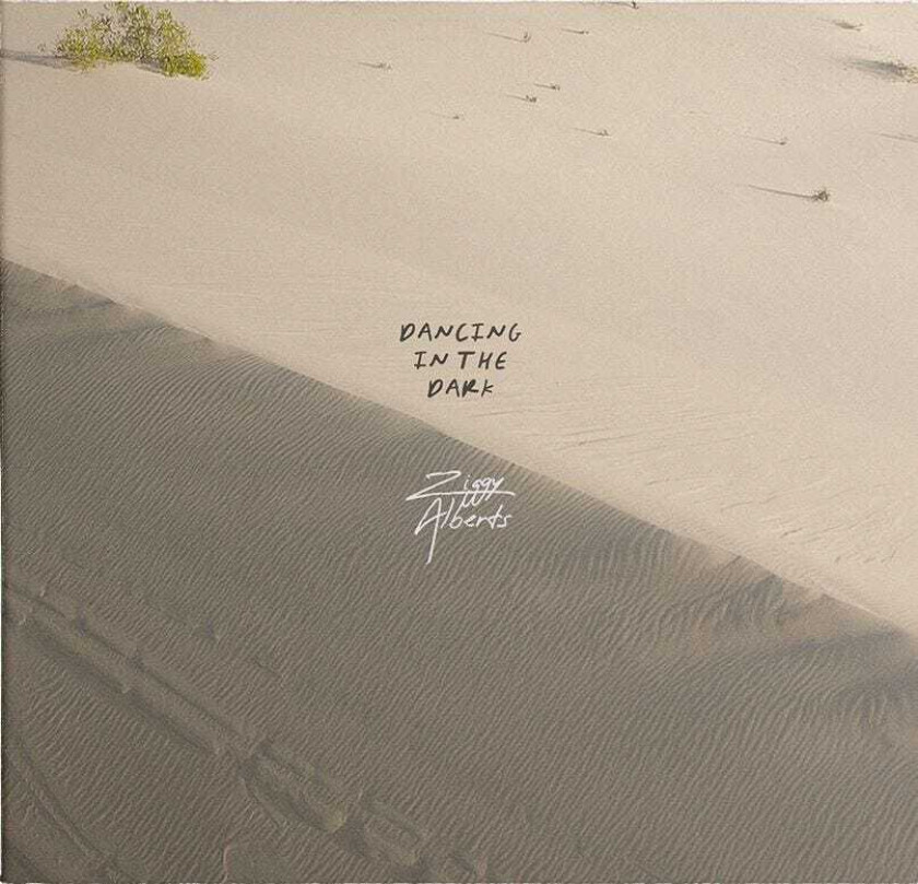 Ziggy Alberts Dancing In The Dark CD