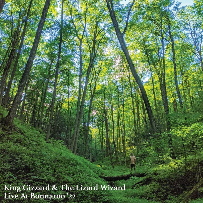 King Gizzard & The Lizard Wizard Live At Bonnaroo '22 LP/Vinyl