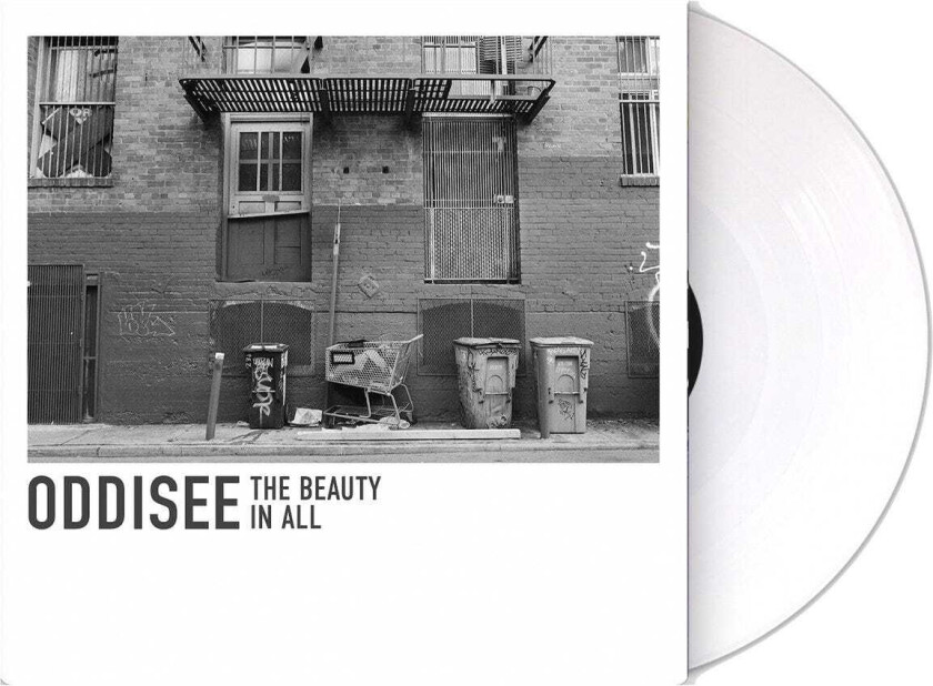 Oddisee The Beauty In All LP/Vinyl