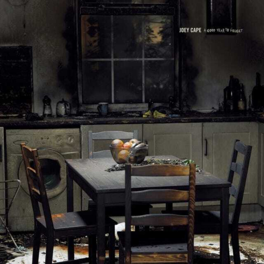 Joey Cape A Good Year To Forget CD