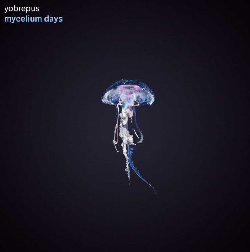 Yobrepus Mycelium Days LP/Vinyl