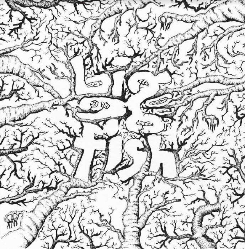 Big Fish Kalla Döda Drömmar Inc. CD EP LP/Vinyl