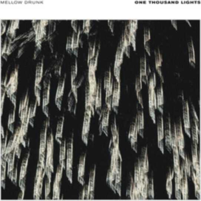 One Thousand Lights LP/Vinyl