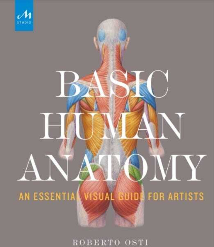 Basic Human Anatomy  An Essential Visual Guide for Artists