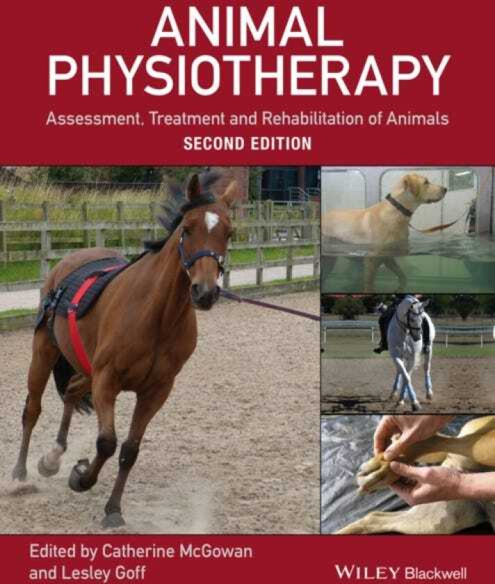 Animal Physiotherapy Assessment, Treatment and Rehabilitation of Animals