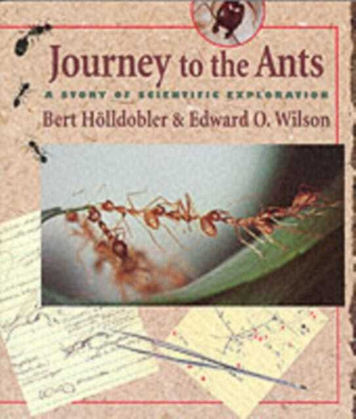 Journey to the Ants  A Story of Scientific Exploration