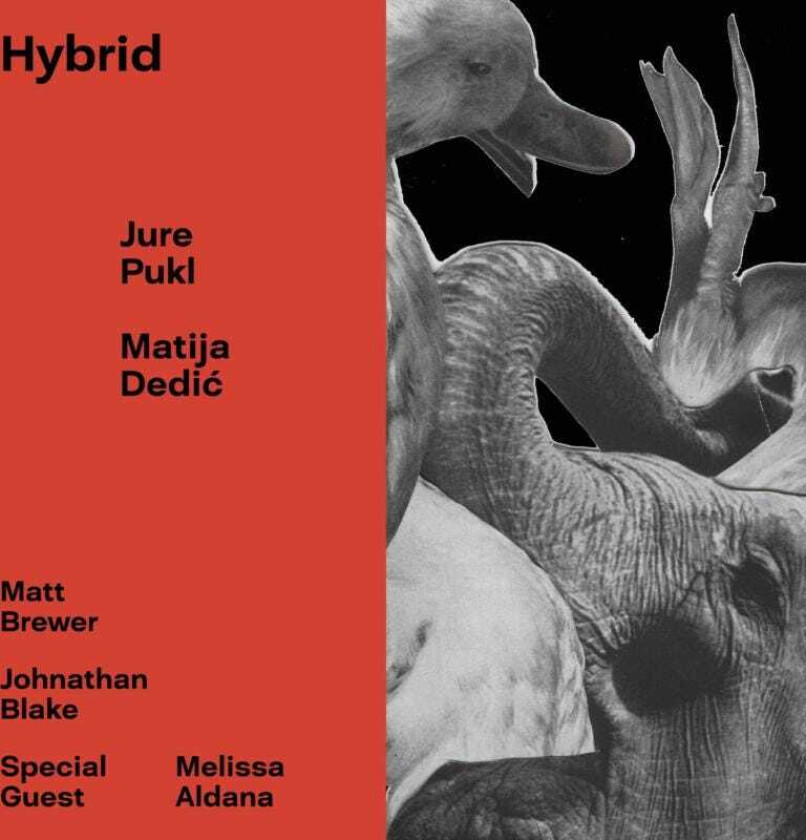 Jure Pukl & Matija Dedic Hybrid CD