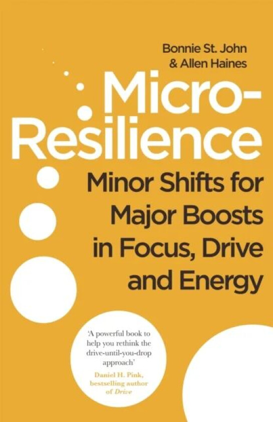 Micro-Resilience av Bonnie St. John, Allen P. Haines