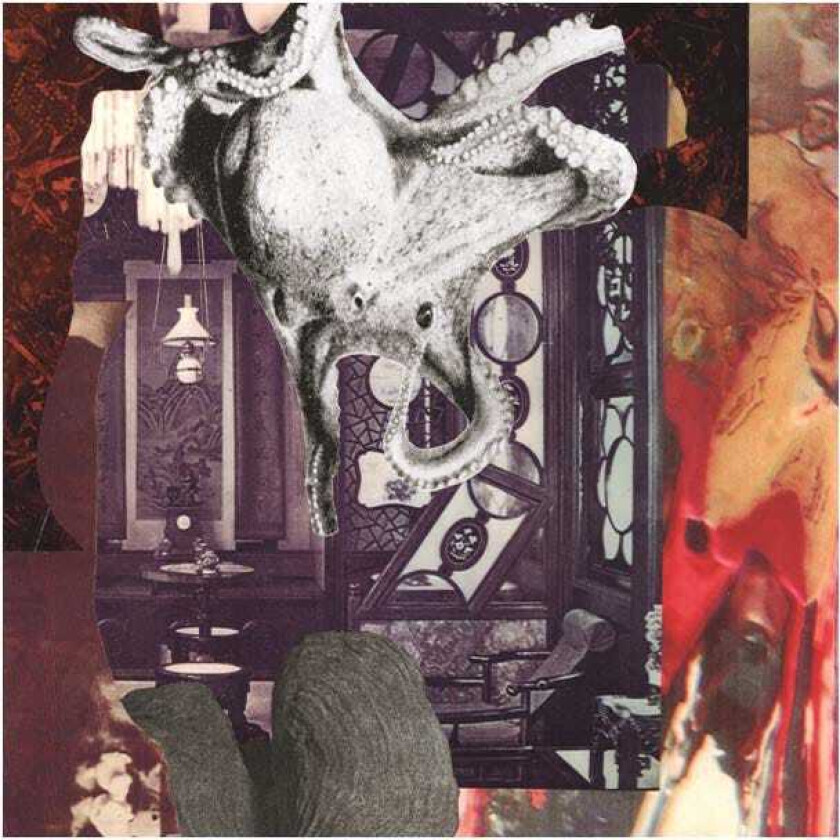 Signal Echoes LP/Vinyl