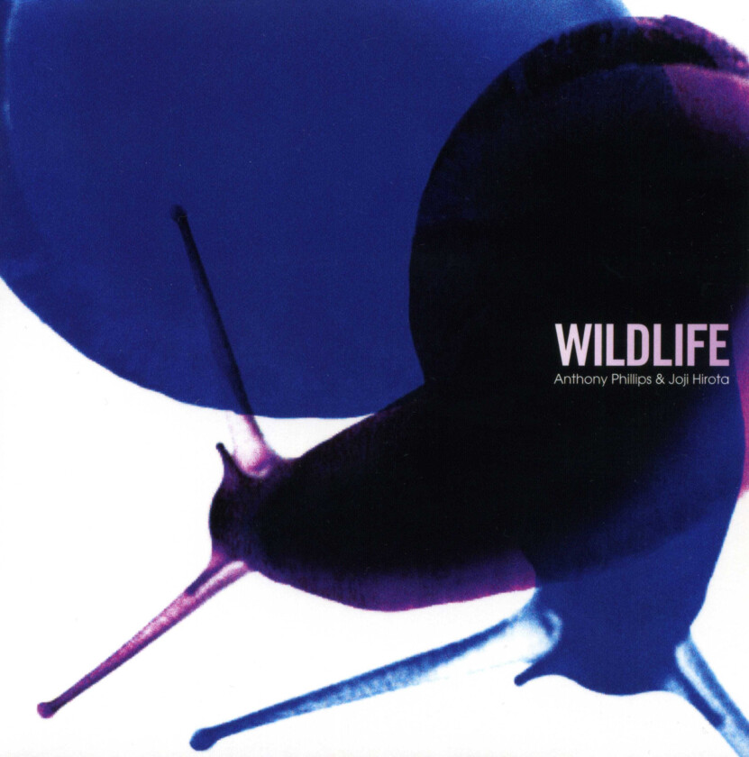 Anthony Phillips & Joji Hirota, Anthony Phillips, Joji Hirota Wildlife (Remastered And Expanded) CD