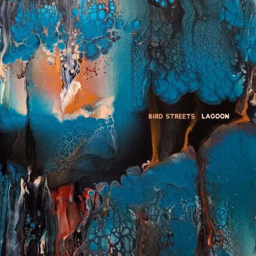 Bird Streets Lagoons LP/Vinyl