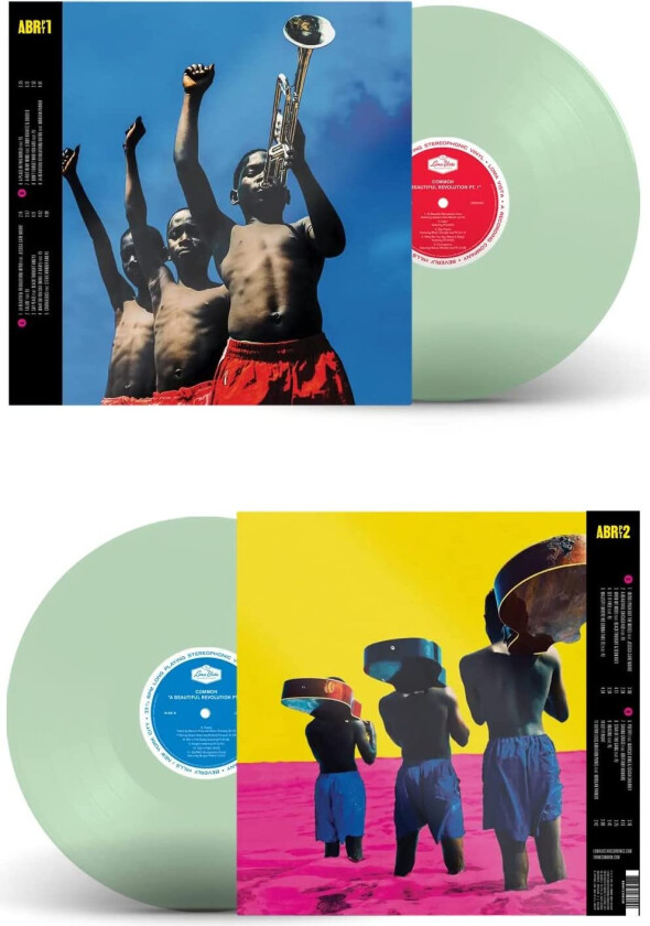 Common A Beautiful Revolution Pt. 1 & 2 LP/Vinyl