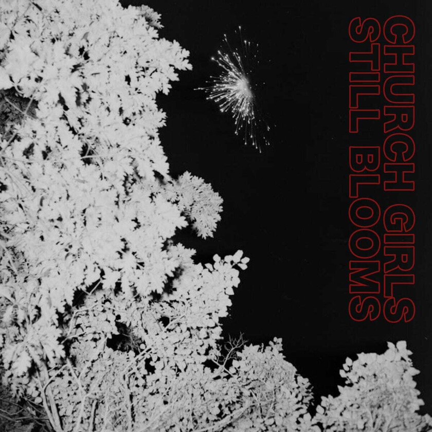 Church Girls Still Blooms LP/Vinyl