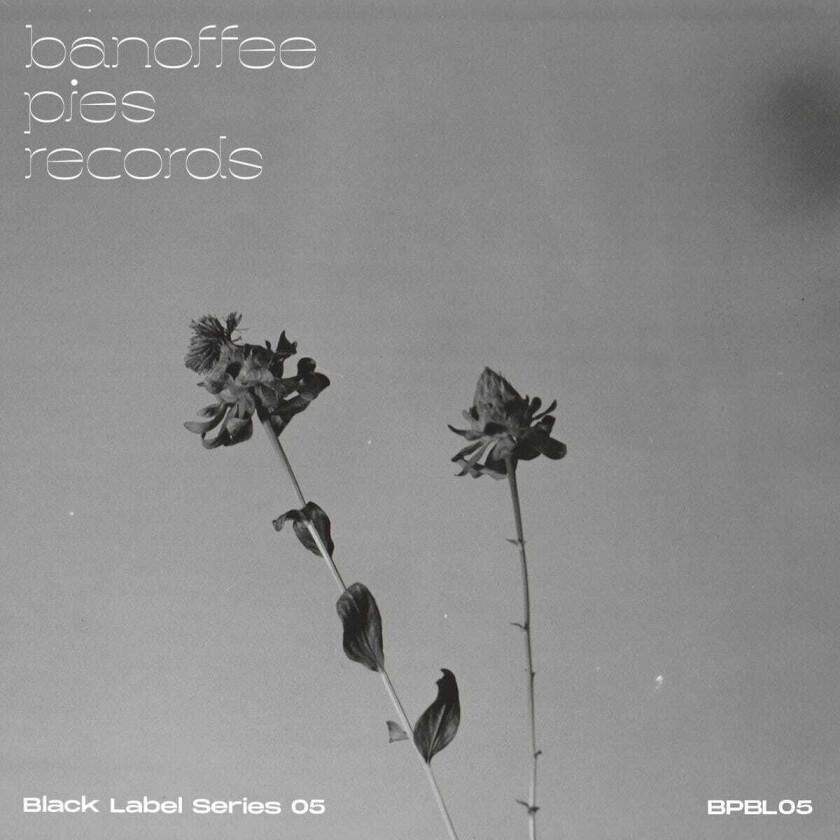 Diverse Electronica Banoffee Pies Records: Black Label Series 05 LP/Vinyl
