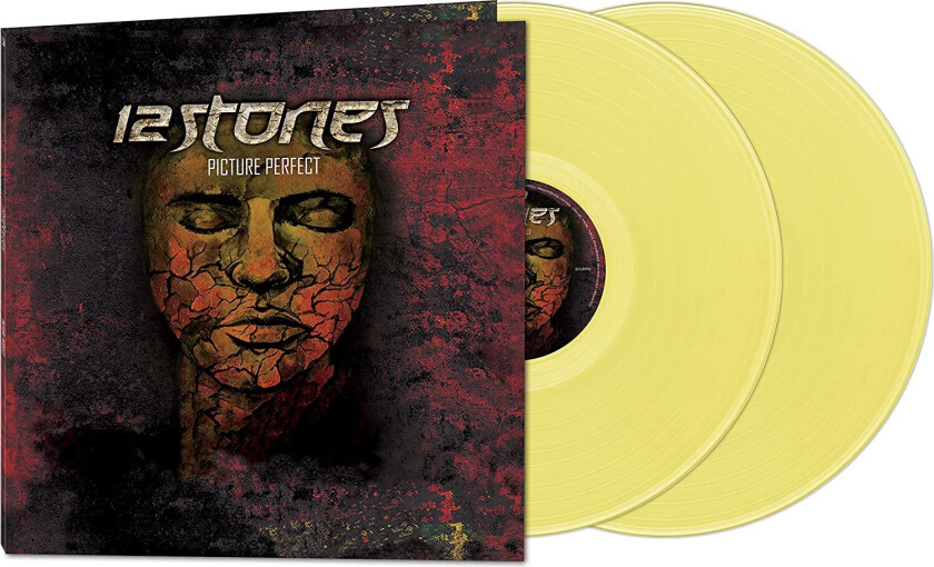 12 Stones Picture Perfect LP/Vinyl
