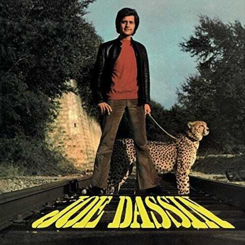 Joe Dassin La Fleur Aux Dents LP/Vinyl