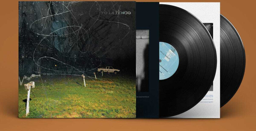 Yo La Tengo This Stupid World LP/Vinyl