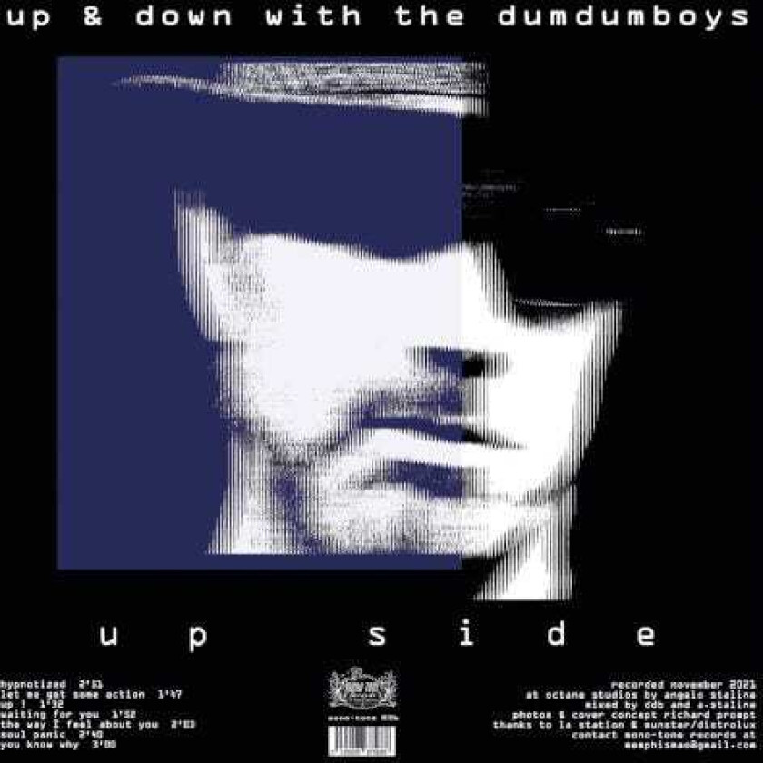 Dum Dum Boys (Frankrike) Up & Down With The Dum Dum Boys LP/Vinyl