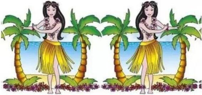 Banner med figurer -Hawaii- 3m