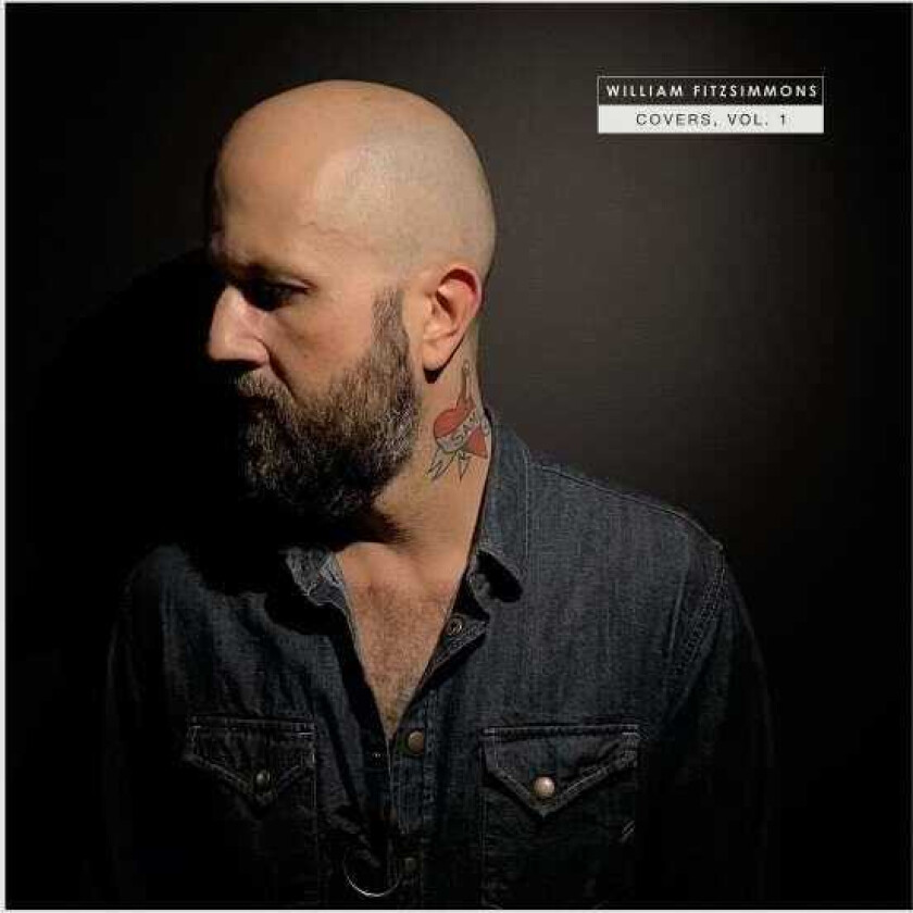 William Fitzsimmons  Covers Vol.1  CD