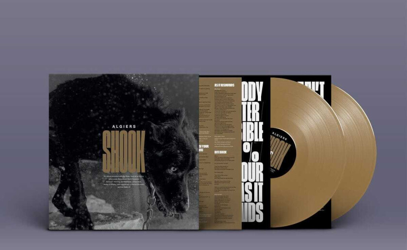 Algiers Shook LP/Vinyl