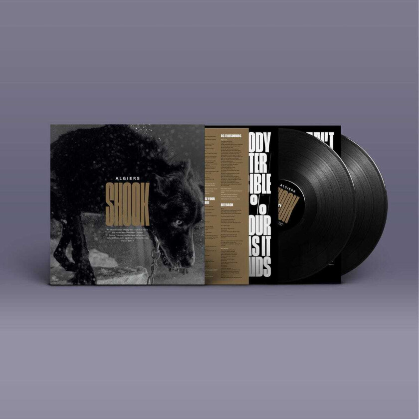 Algiers Shook LP/Vinyl
