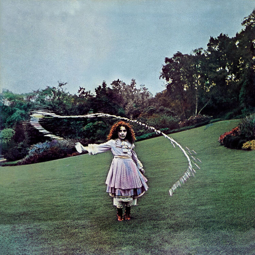 Trees On The Shore LP/Vinyl