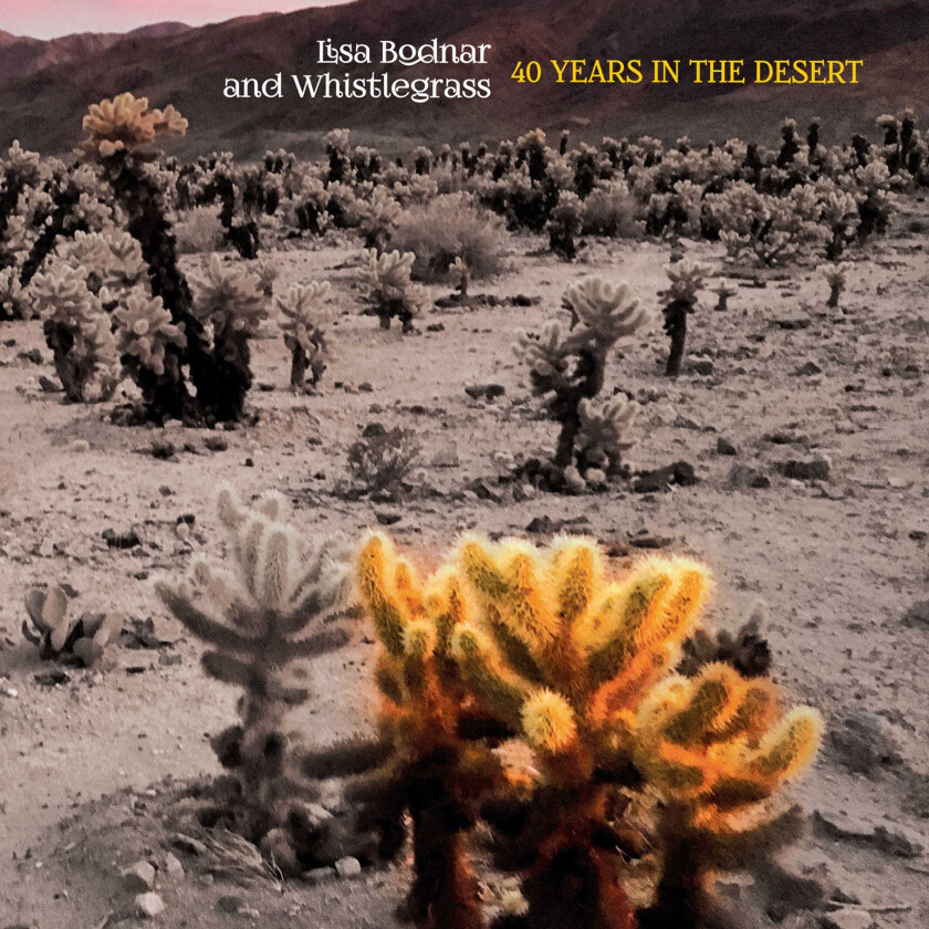 Lisa Bodnar, Lisa Bodnar & Whistlegrass  40 Years In The Desert  CD