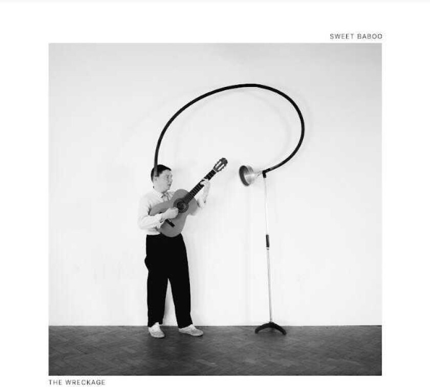 Sweet Baboo The Wreckage LP/Vinyl
