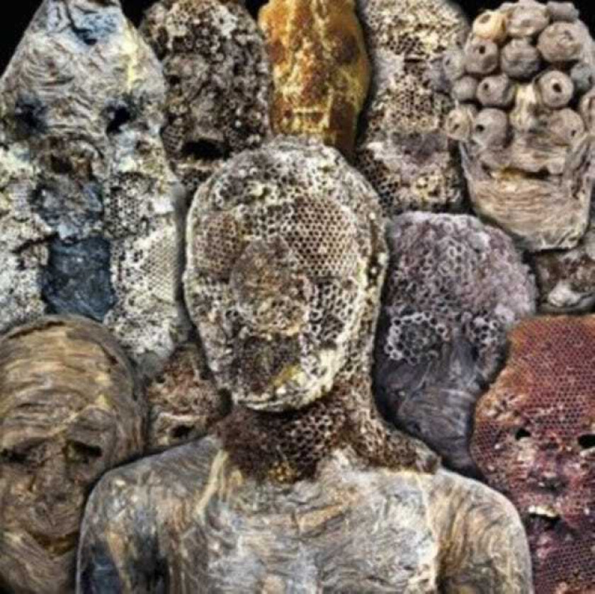 Metal Preyers Shadow Swamps LP/Vinyl