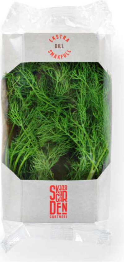 Dill 40g