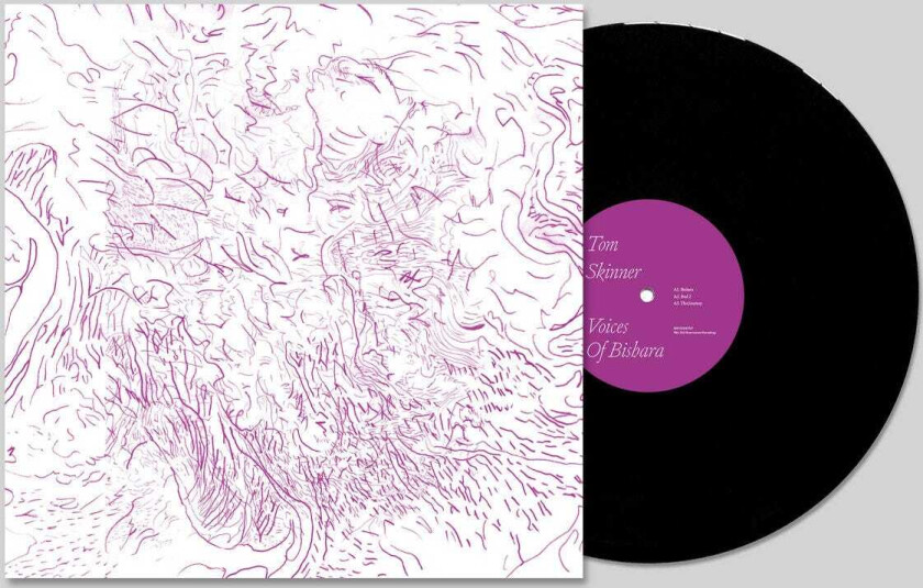 Tom Skinner  Voices Of Bishara  LP/Vinyl