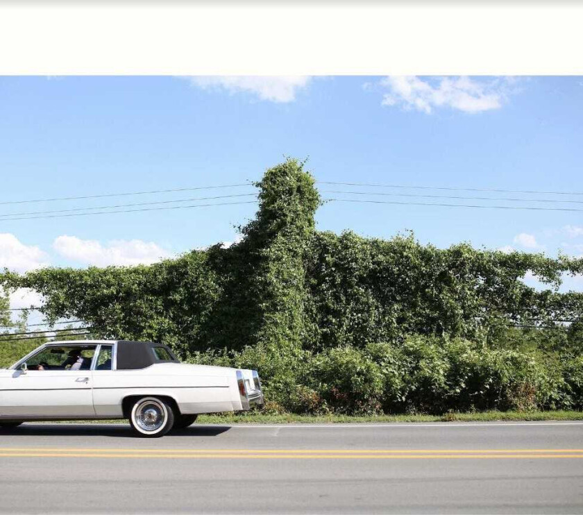 Cory Branan When I Go I Ghost CD