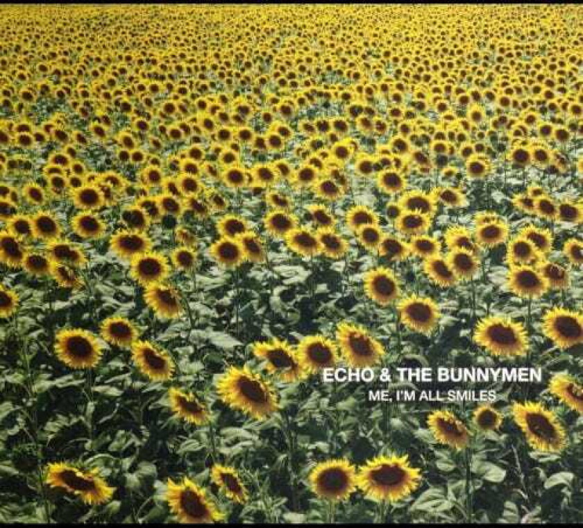 Echo & The Bunnymen Me, I'm All Smiles CD
