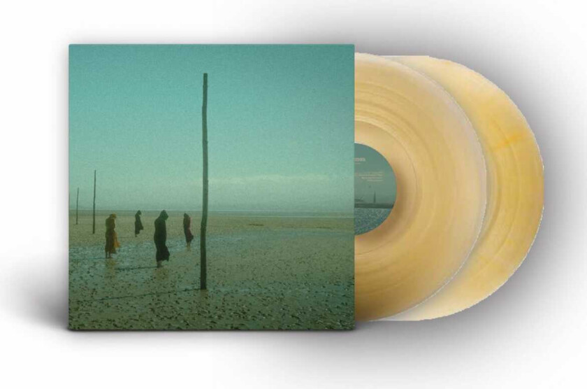 Devil's Witches In All Her Forms LP/Vinyl