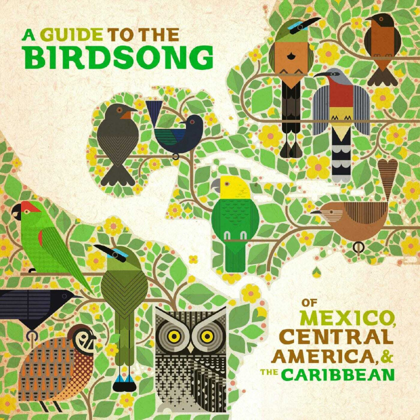 Diverse World Music A Guide To The Birdsong Of Mexico, Central America, & The Caribbean LP/Vinyl